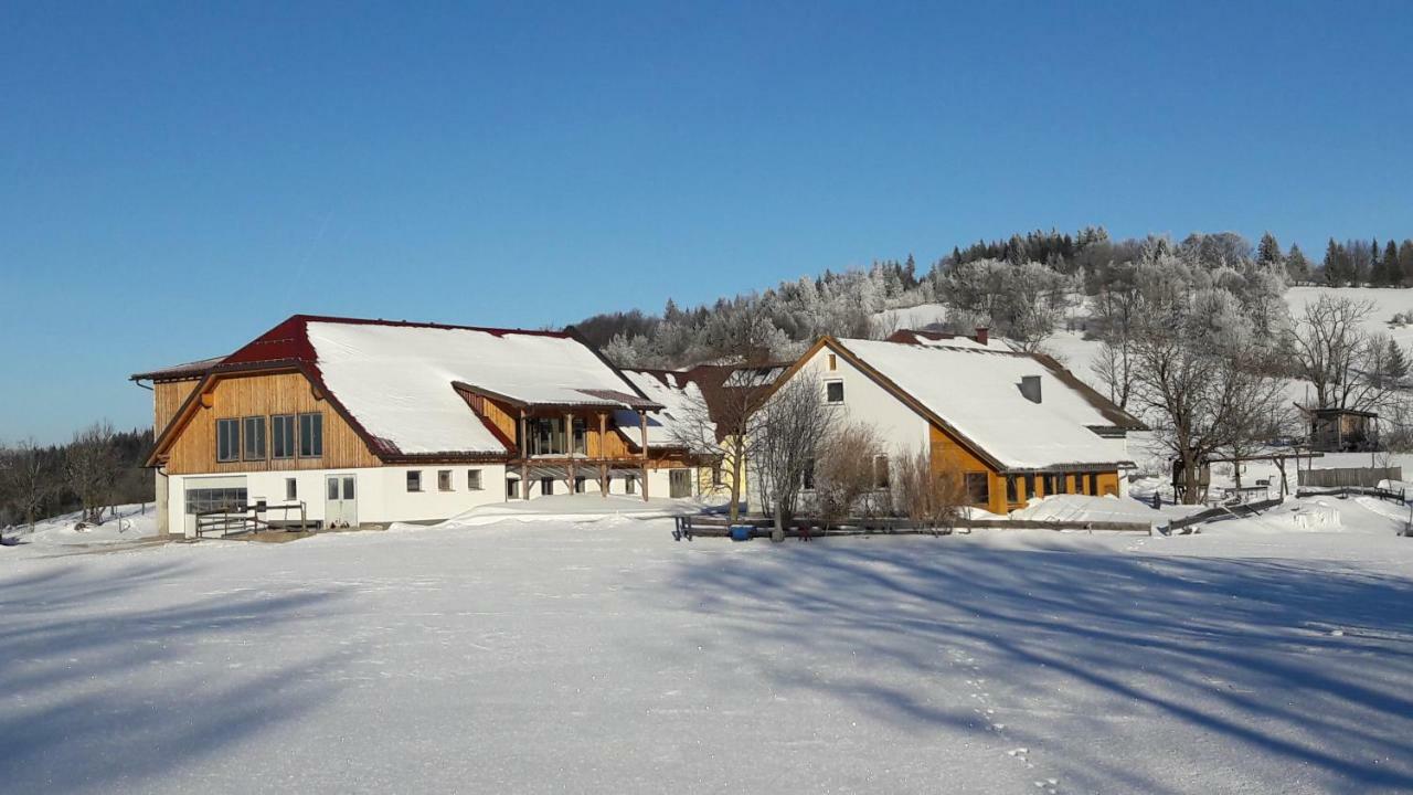 Oetscherblick Fam Winter Frankenfels 外观 照片