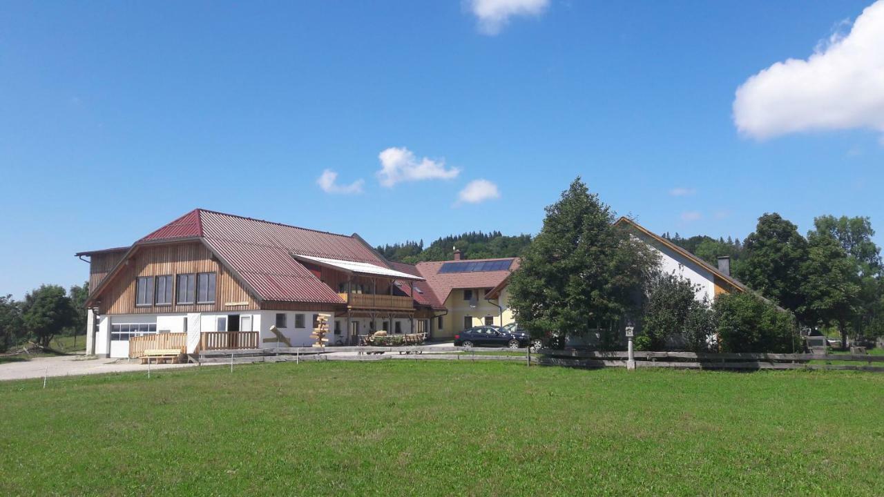 Oetscherblick Fam Winter Frankenfels 外观 照片
